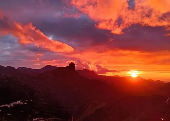 シャレー Ancestros